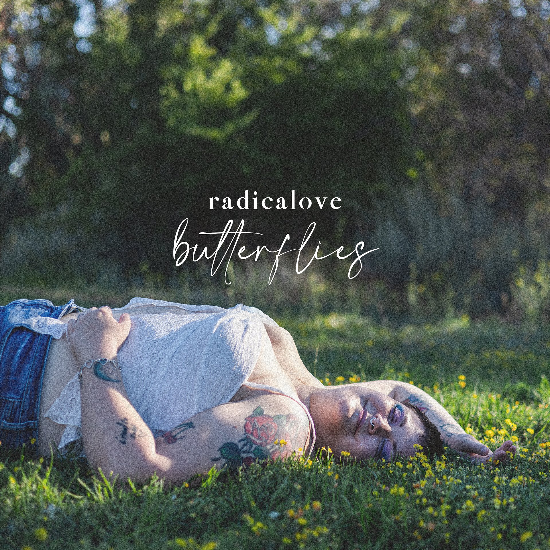 "butterflies" MP3 Download product image (1)