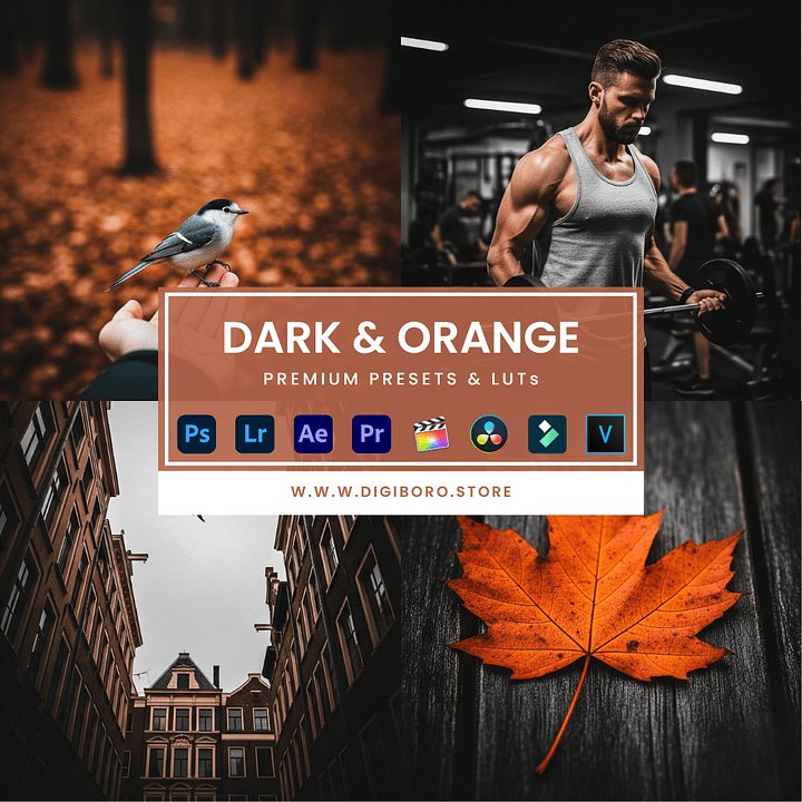 dark & orange product image (1)