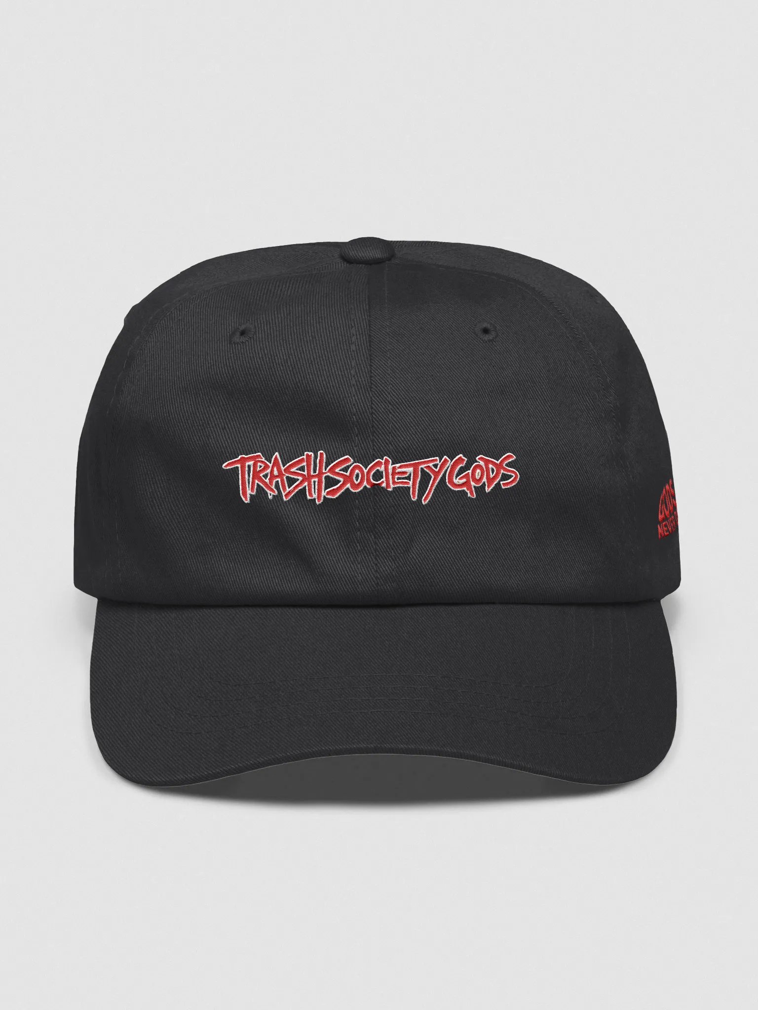 TRASH SOCIETY HAT product image (1)