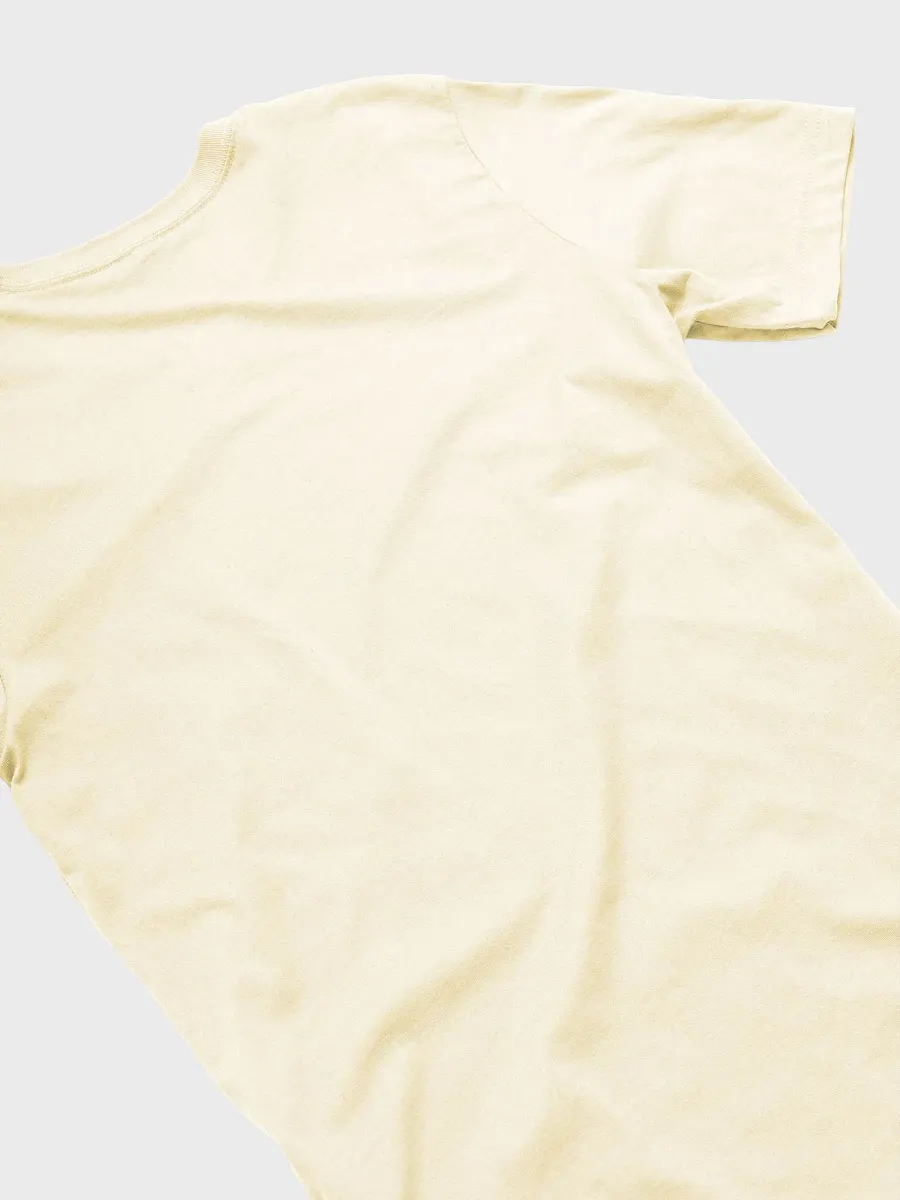 Gulf of Mexico Sea Turtle T-Shirt product image (35)