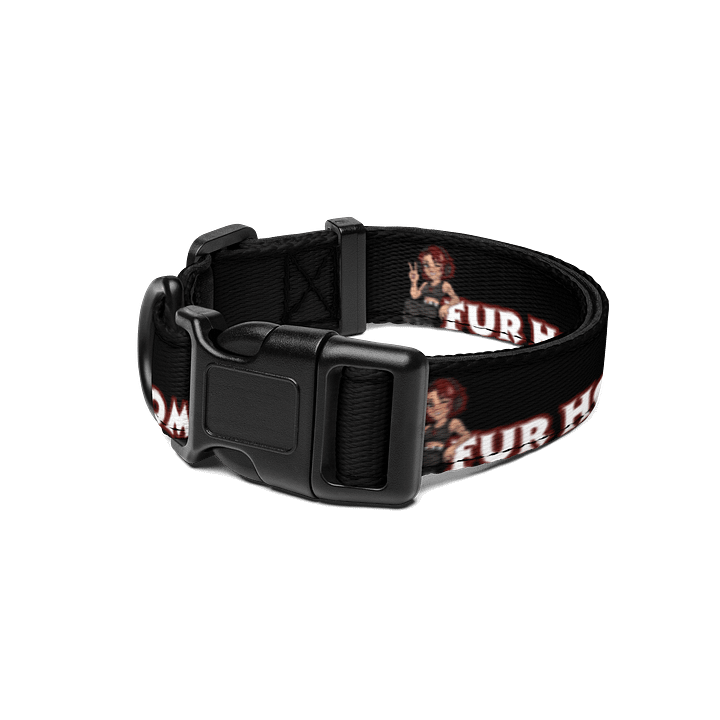 Fur Homie Collar product image (1)