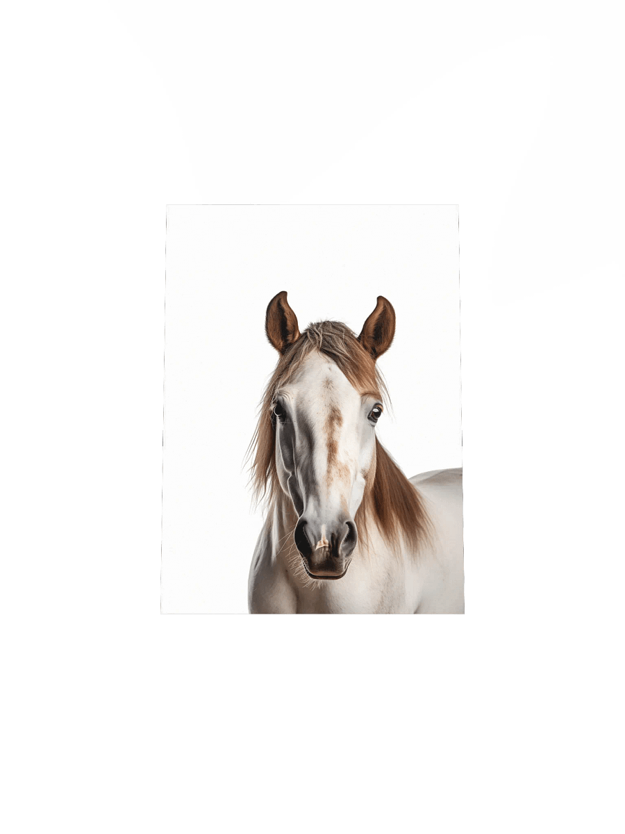 Farm Animal Spotted Horse Decor Print product image (32)