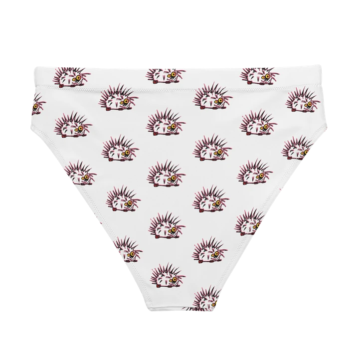 EcoChic Print High Waist Bikini Bottoms product image (1)