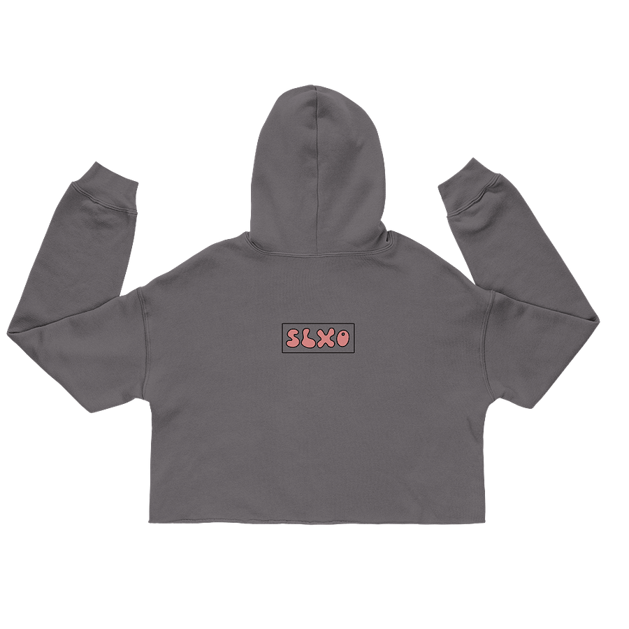 Evil Is More Fun Crop Hoodie - Storm product image (2)