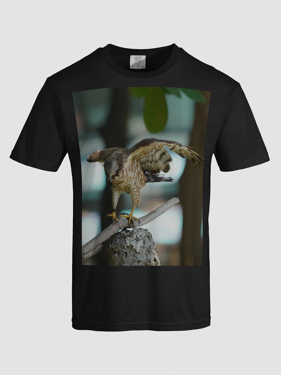 Majestic Falcon Relaxed Fit T-Shirt product image (5)