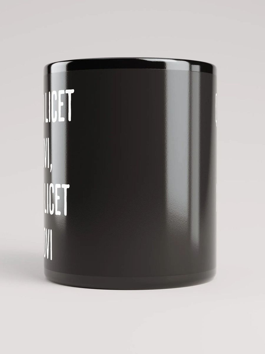 Quod Licet Iovi, Non Licet Bovi Mug product image (8)