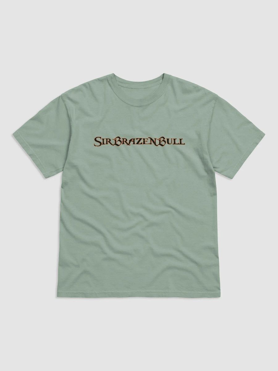 SIRBRAZENBULL TEE product image (12)