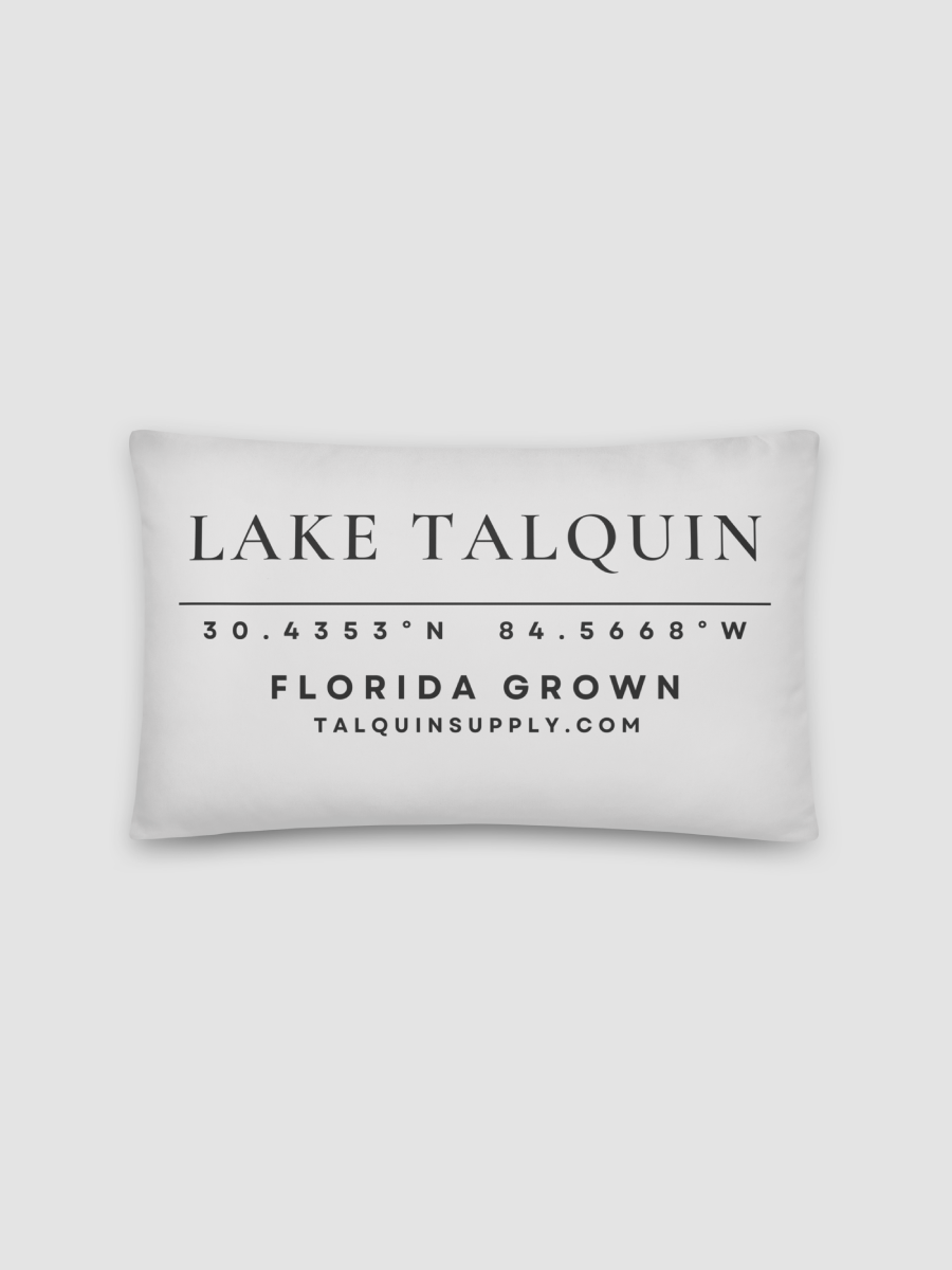 The Coordinates Pillow product image (2)
