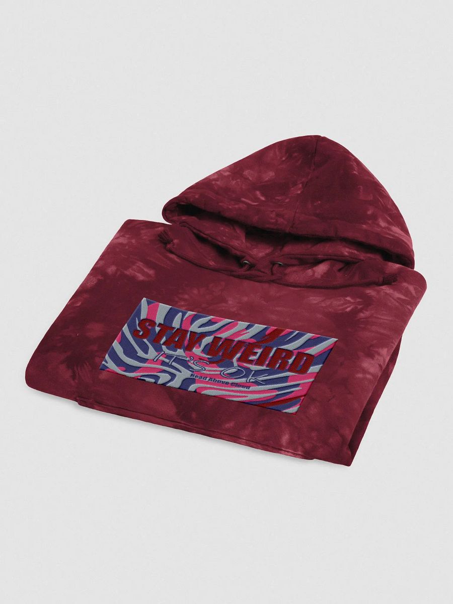 It's Ok HAC +Champion-Embroidered Hoodie product image (6)