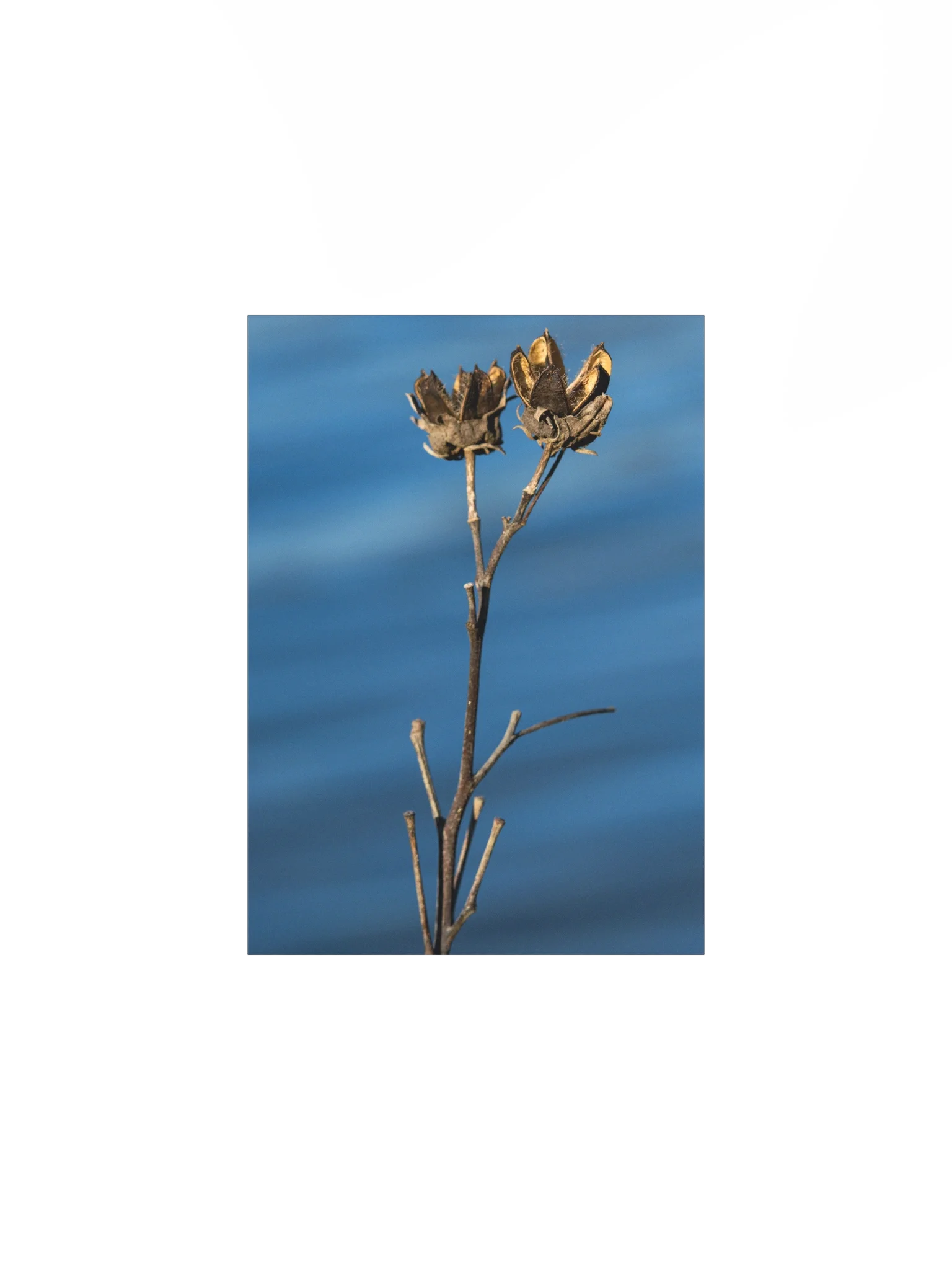 A Rush With Stillness (Matte Poster) product image (2)