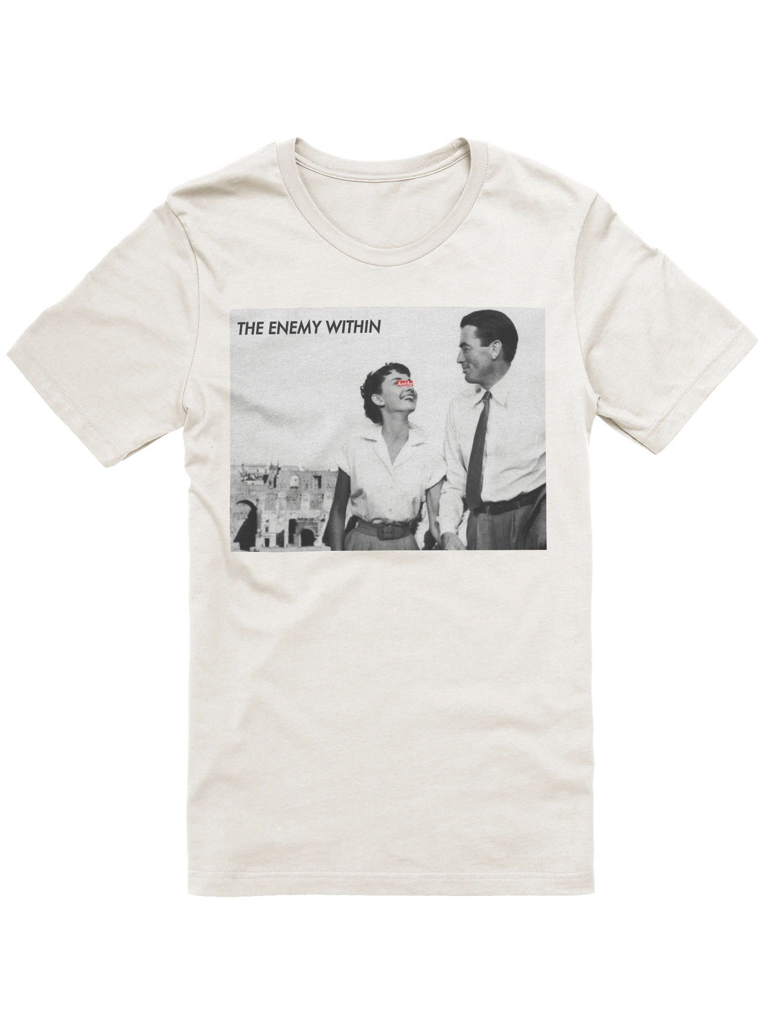 The Anti-Fascionista product image (1)