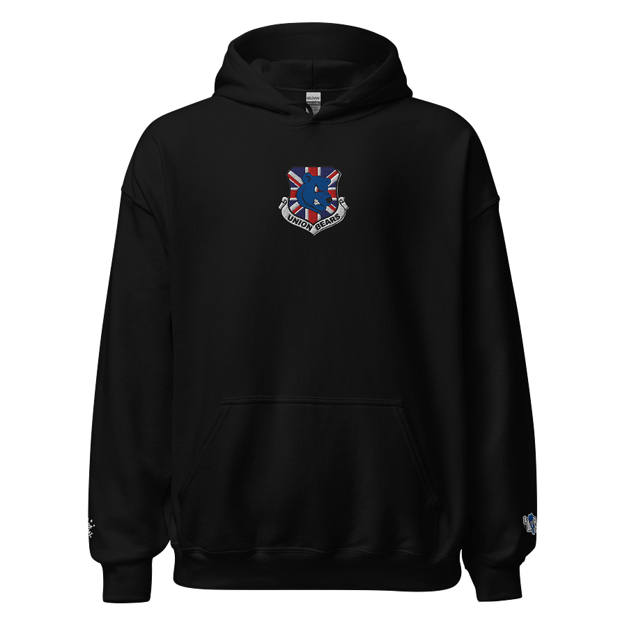 Union Bear Hoodie product image (1)