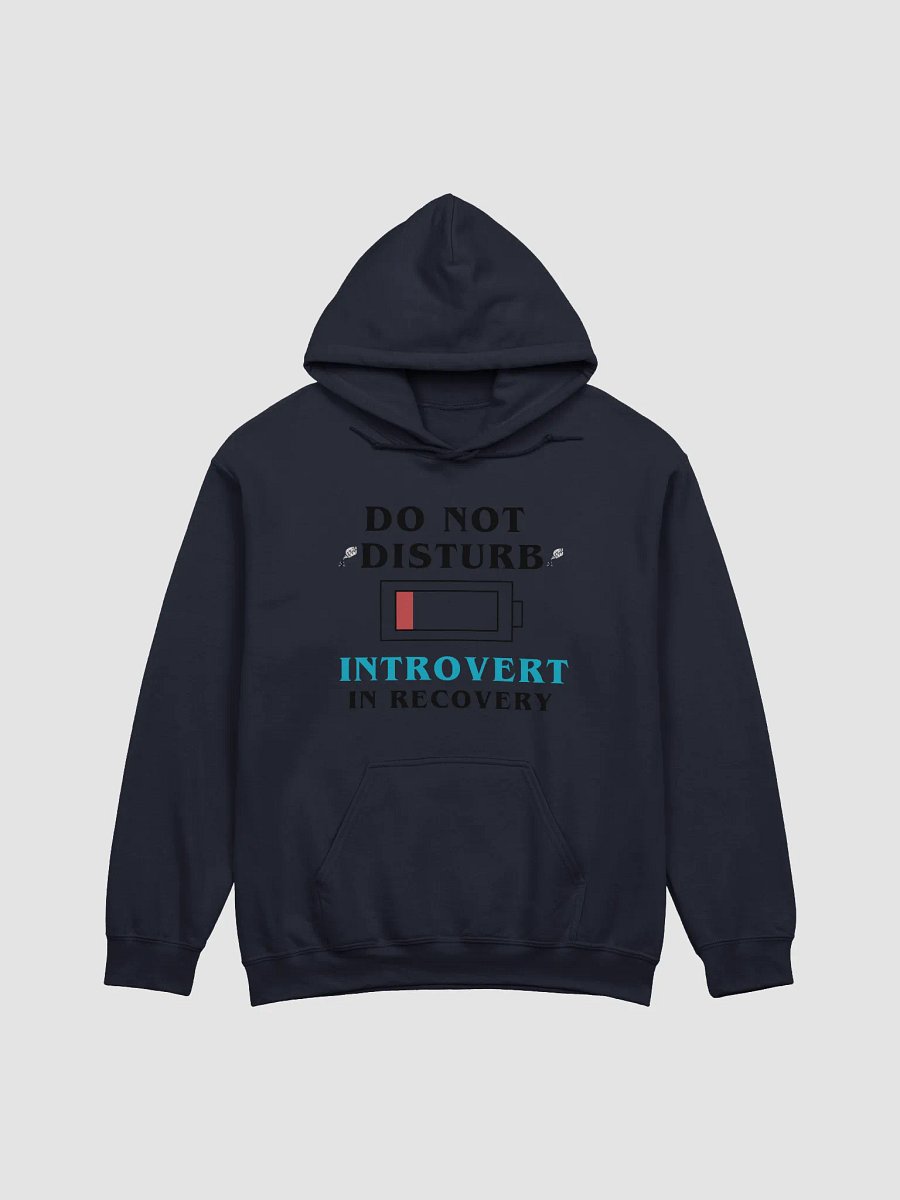 Do Not Disturb: Introvert Hoodie product image (3)