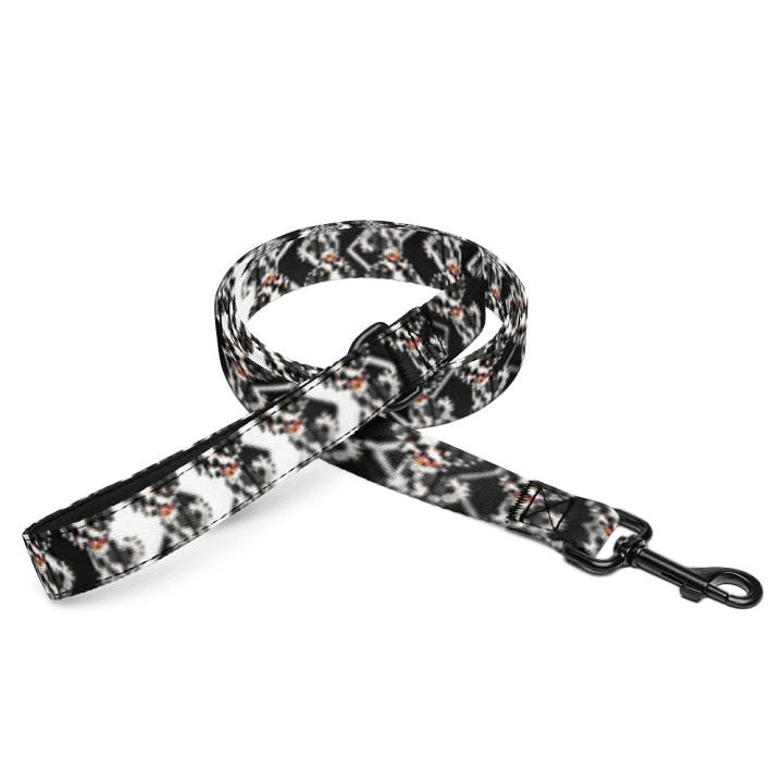 Walle Pet Leash product image (2)
