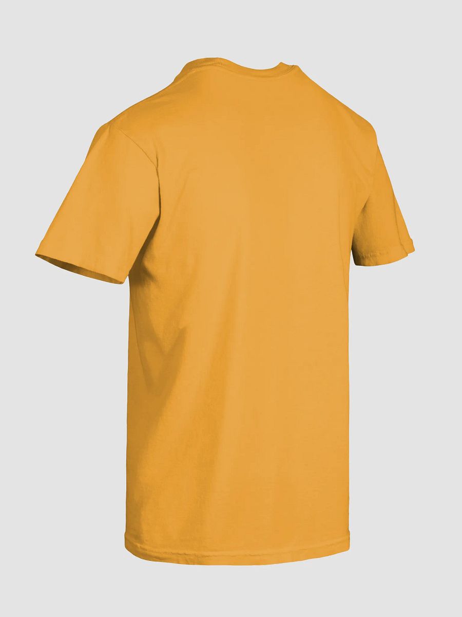 Best Taken with a Grain of Salt – 13 TO LIFE T-shirt – Black Print on Color product image (6)