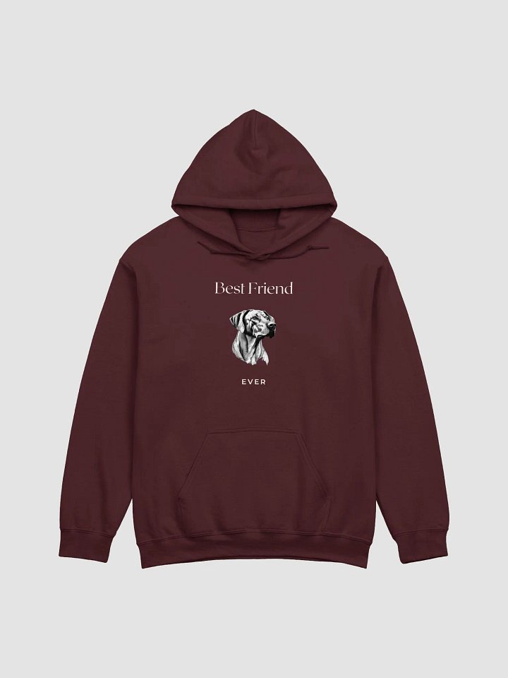 Rhodesian Ridgeback Best Friend Ever Hoodie product image (1)