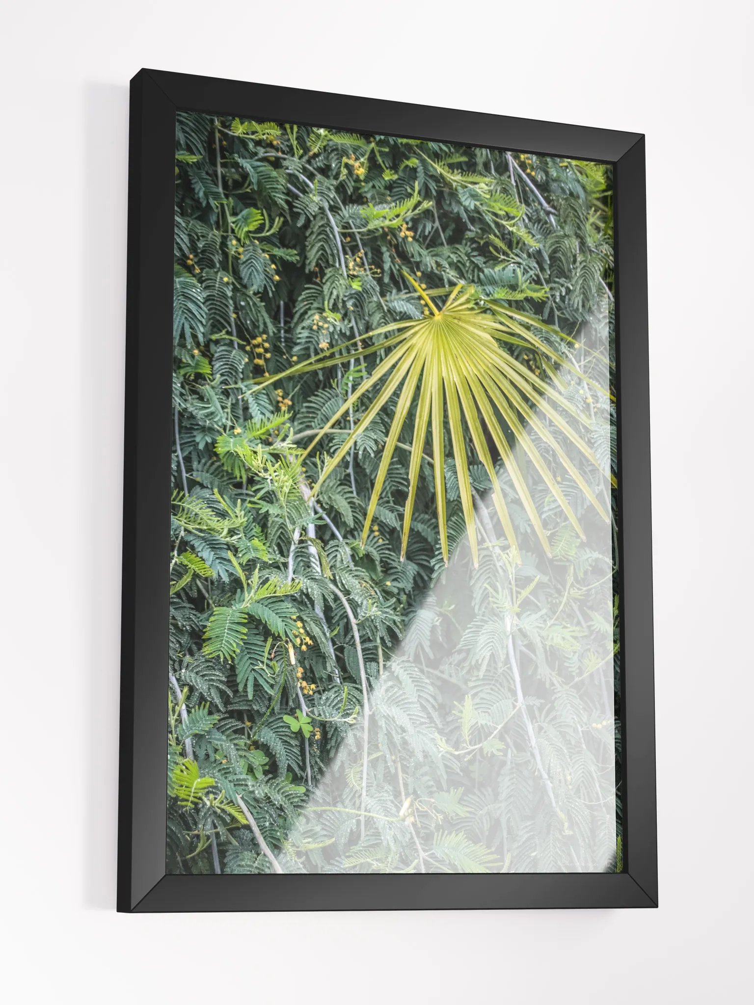 Print Fine Art – The Glow of the Palm | Rayol Canadel Collection product image (5)