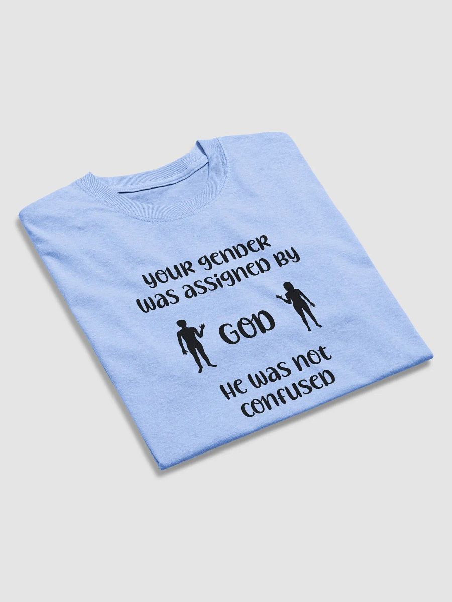 Your Gender Was Assigned by GOD. Midweight Streetwear Vibes Tee product image (3)