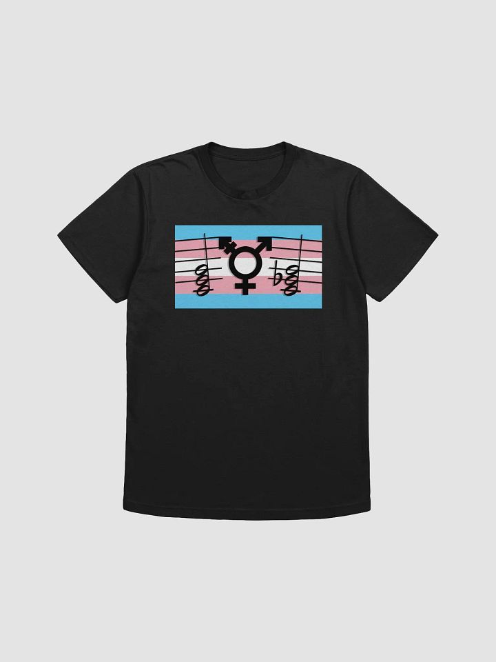 Theory Rights are Human Rights - shirt product image (1)