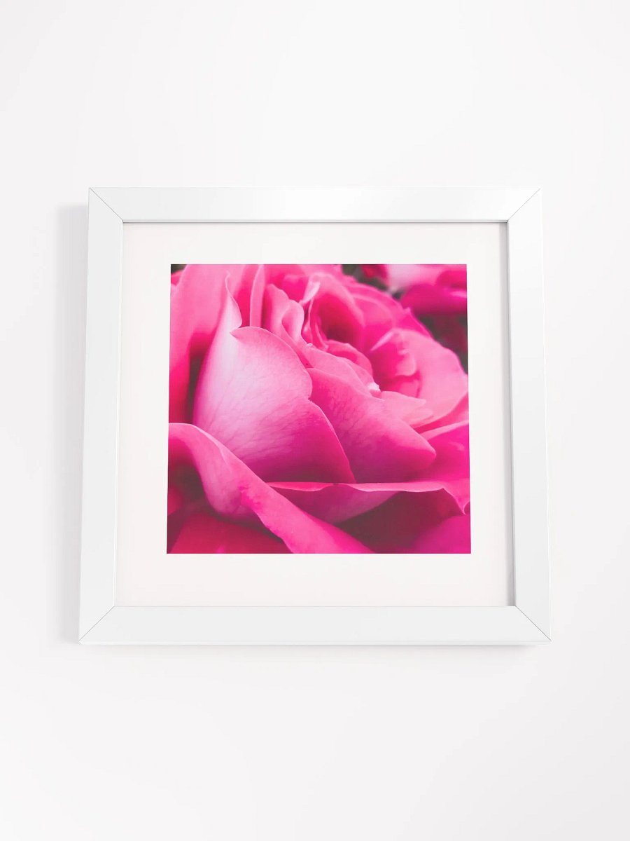 Velvet Rose Framed Poster product image (16)