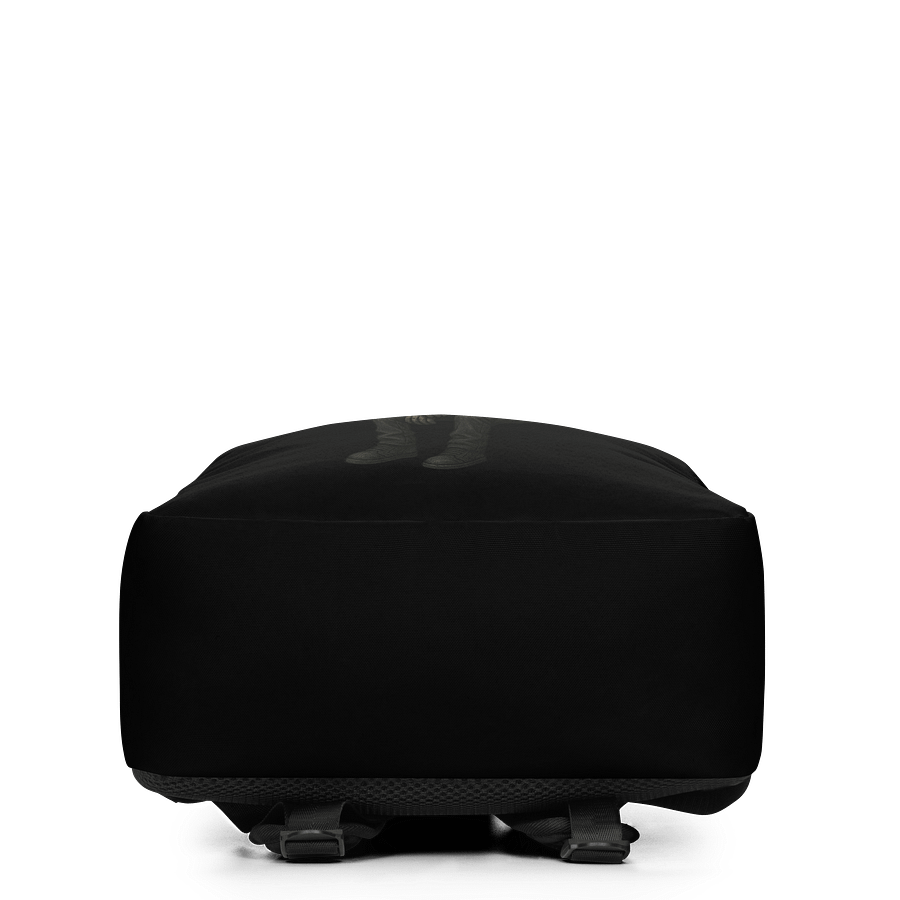 67 Backpack product image (4)