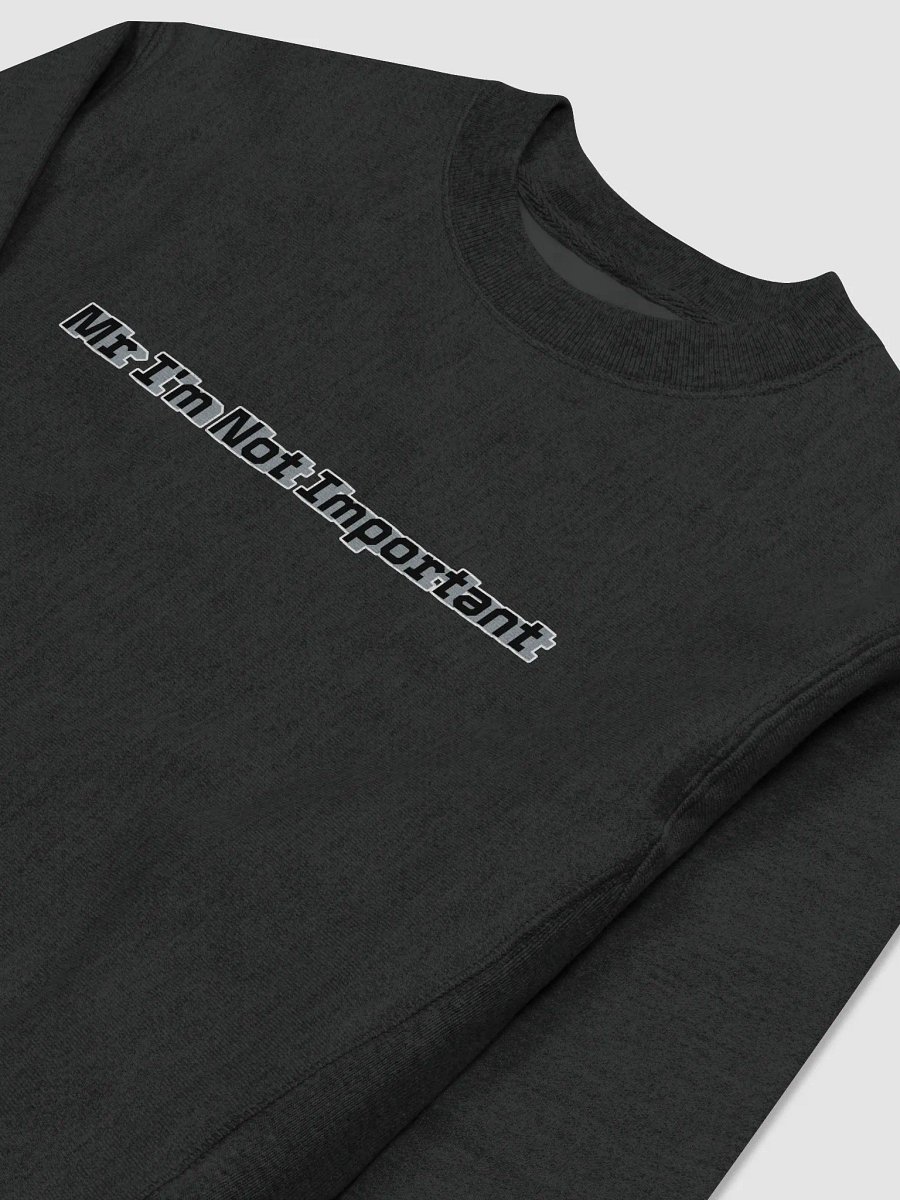 Cotton Max Sweatshirt - Mr I'm Not Important product image (3)