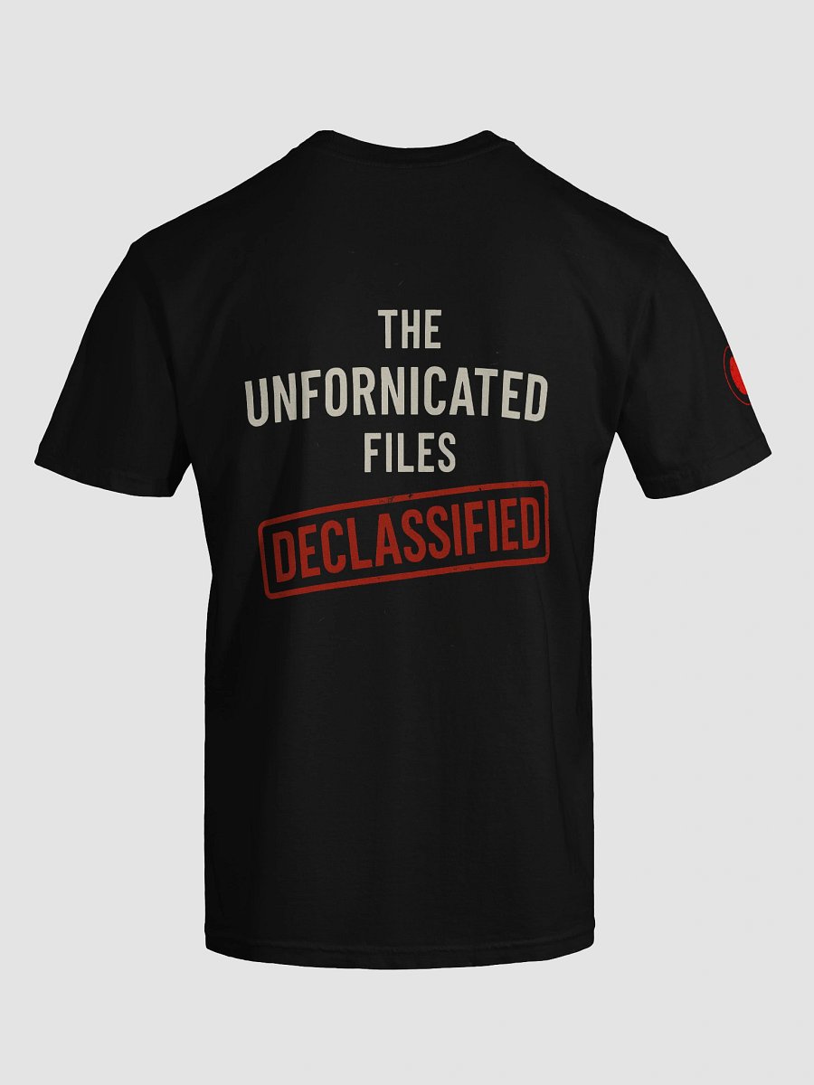 The Unfornicated Files: DECLASSIFIED Relaxed Tee product image (6)