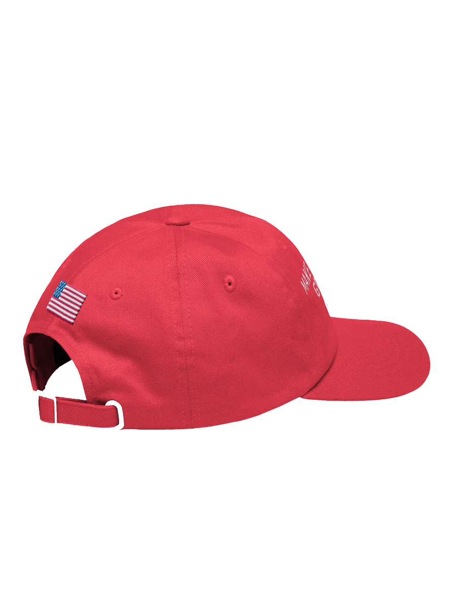 MAKE CS GREAT AGAIN HAT product image (4)