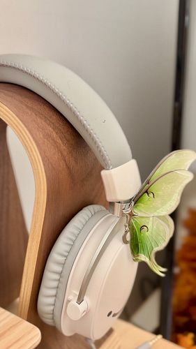 i recently found this small business and i’ve never seen anything like this before 🦋 i feel like i need to rave about it haha...