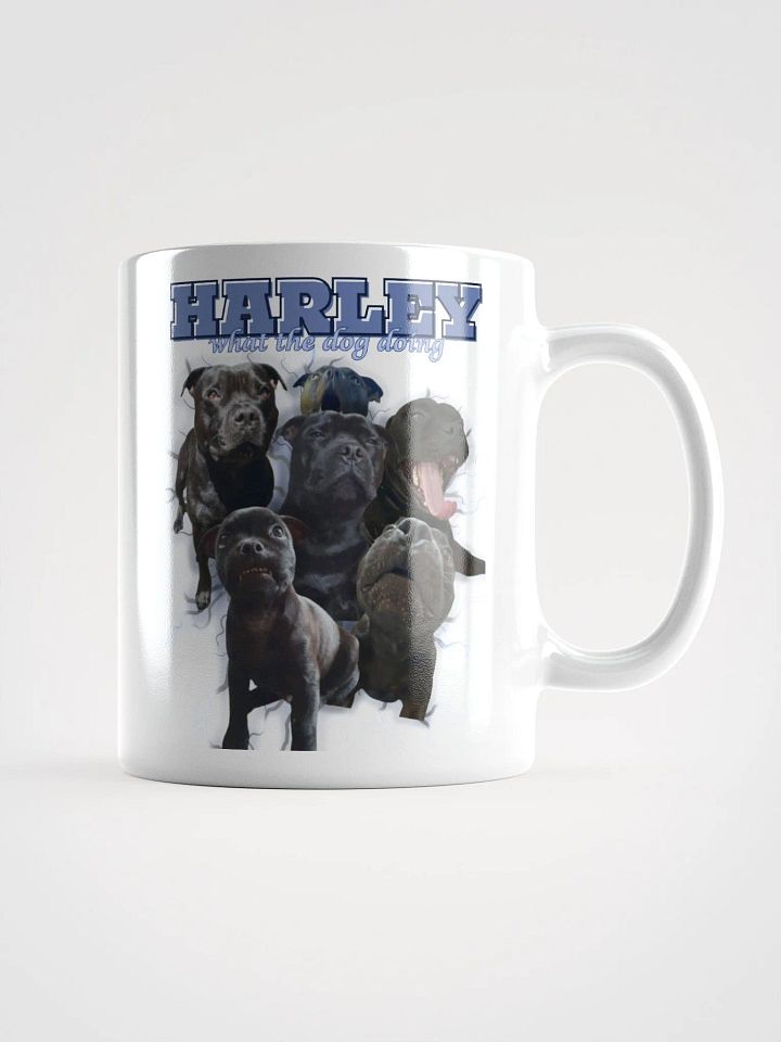 Harley's Mug Shot?! product image (1)