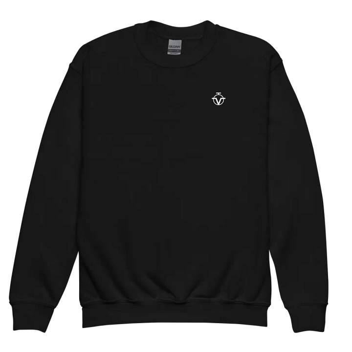OVT OVERTIME/Put In Work Youth Sweatshirt product image (8)