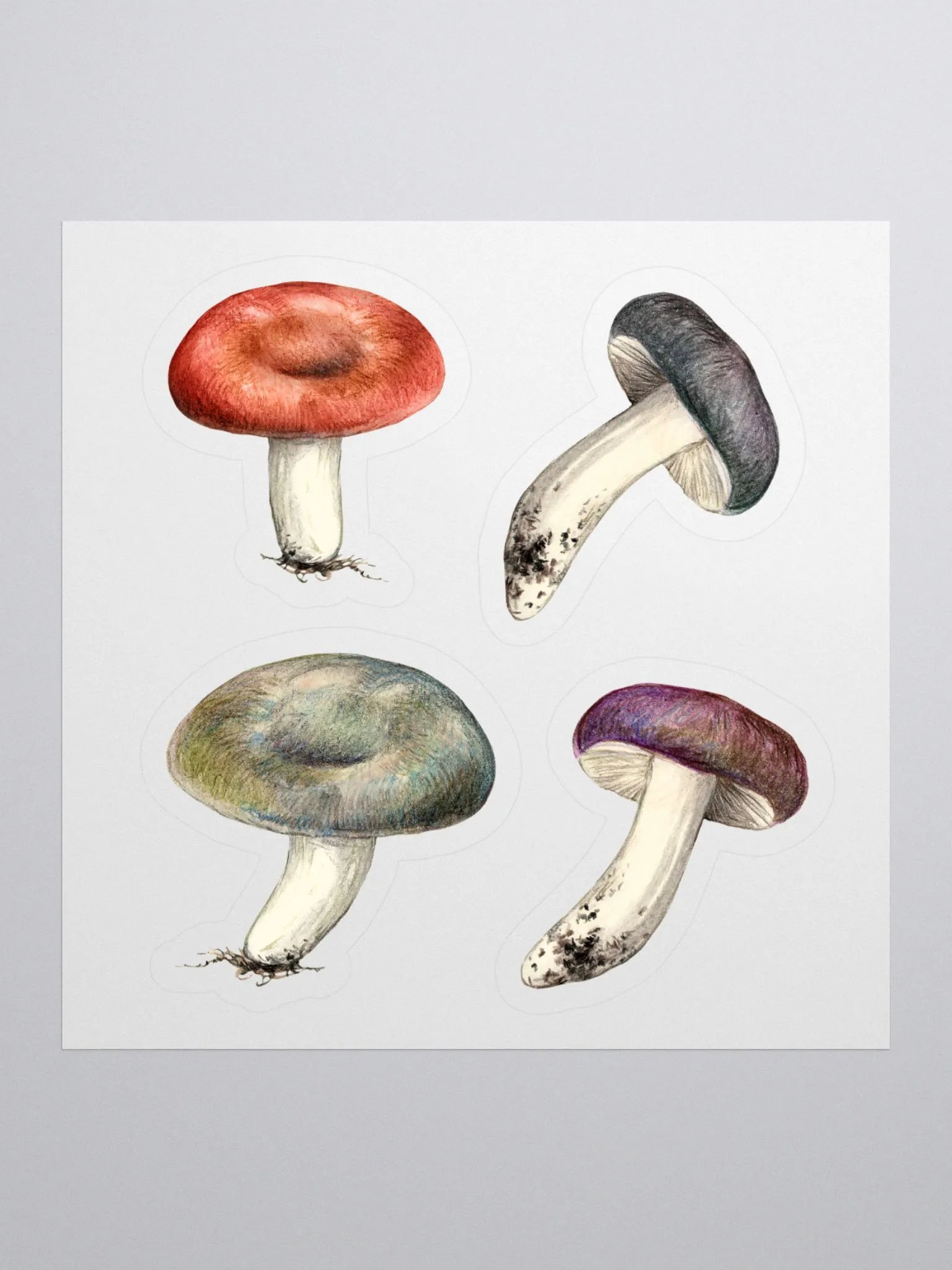 Russula mushrooms sticker product image (2)