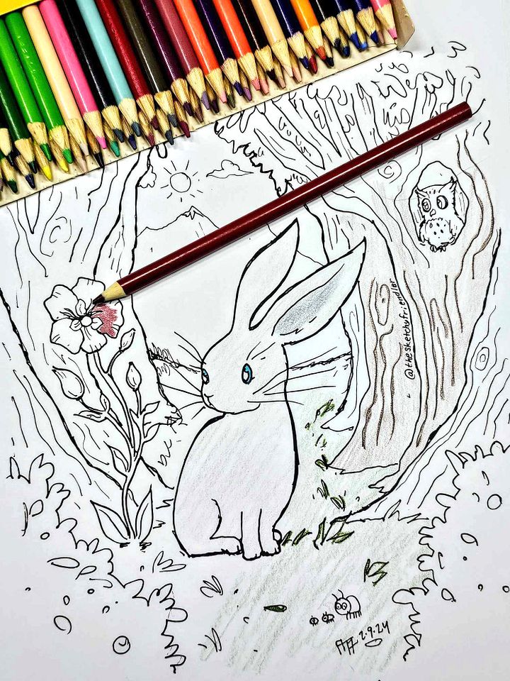 Forest Bunny - Coloring page by The Sketchy Friendler product image (1)