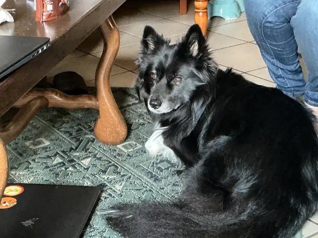 They have the cuteness mastered next level