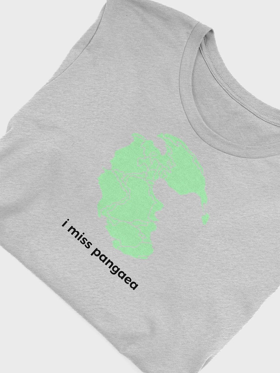 i miss pangaea - Shirt product image (46)