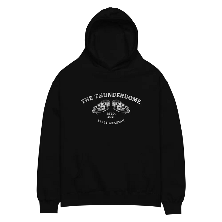 The Thunderdome Hoodie - Light Print product image (3)