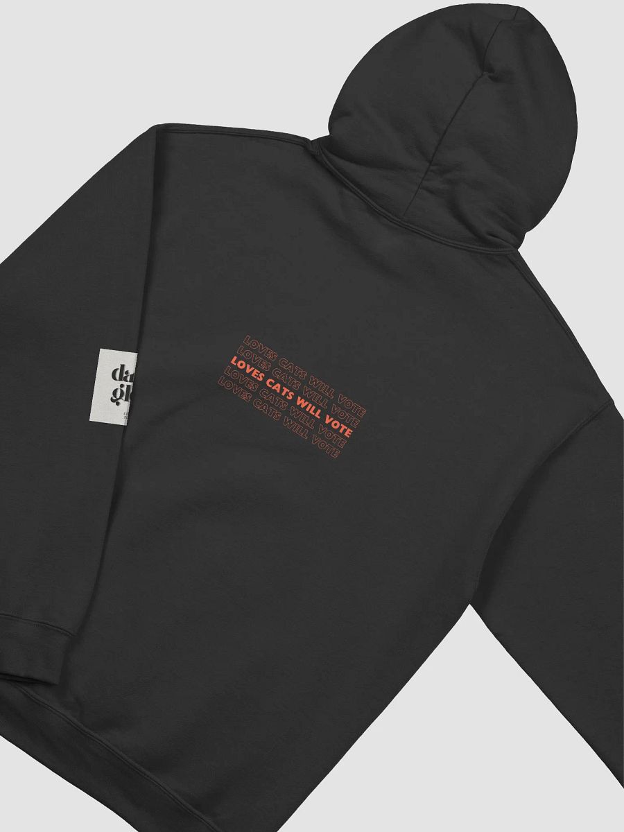 Loves Cats Will Vote Hoodie product image (4)
