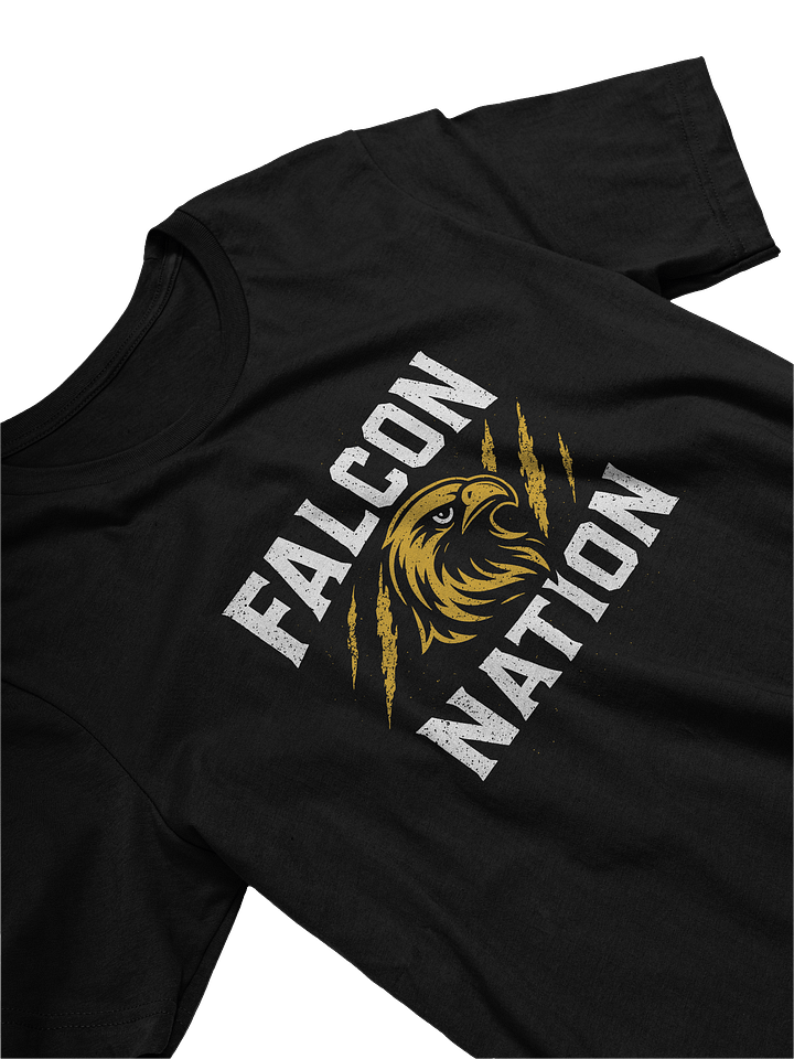 Falcon Nation Emblem Tee product image (2)