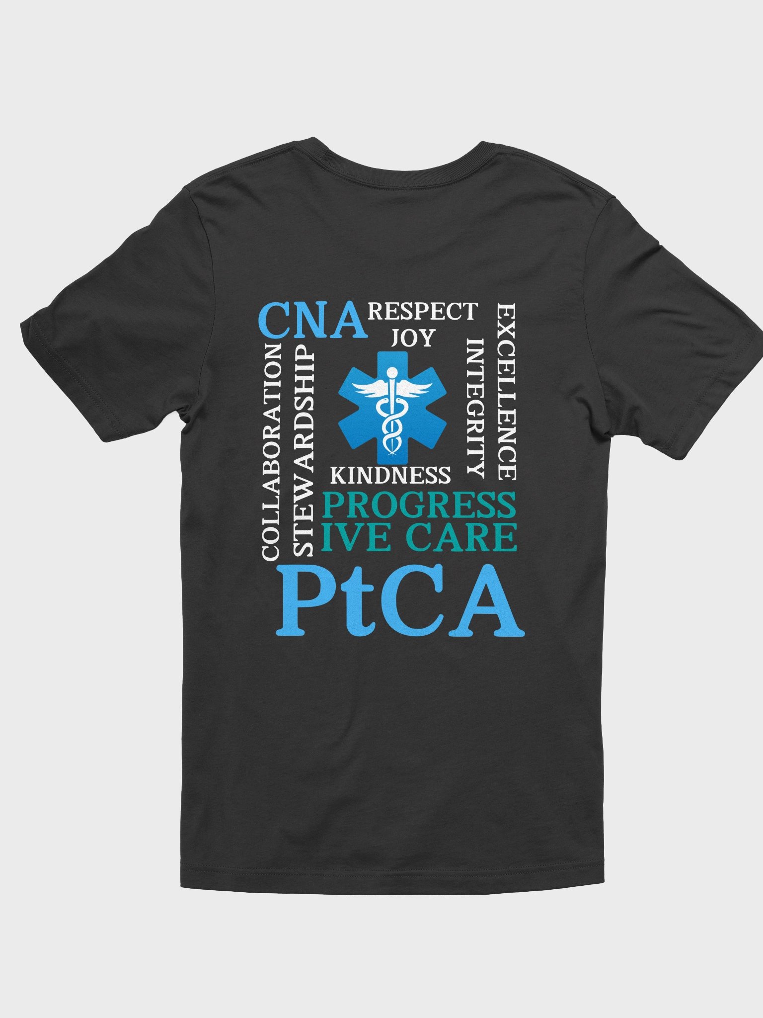 PtCA Values product image (22)