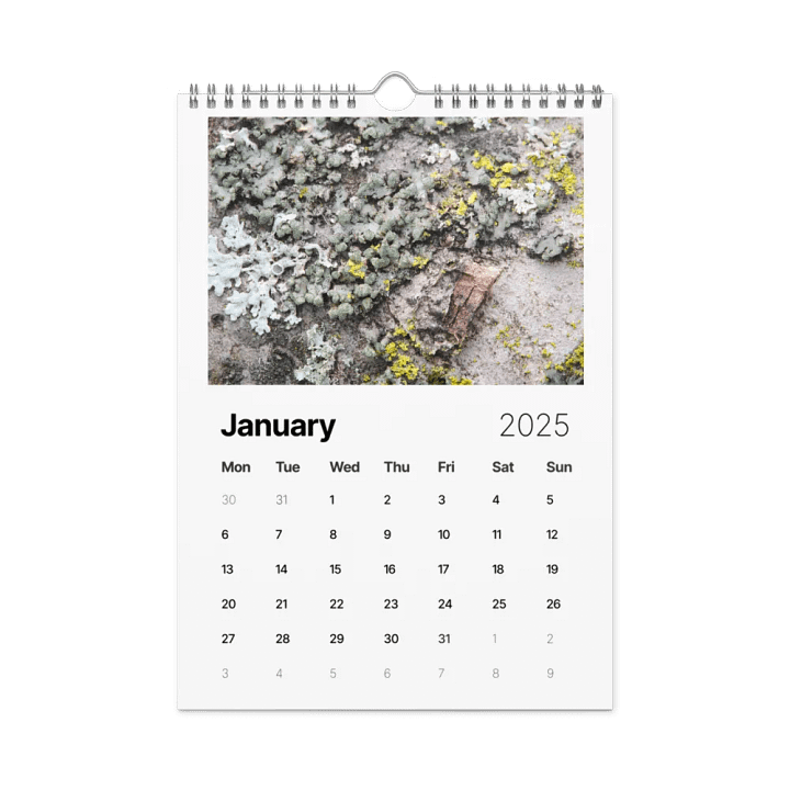 Likin' Lichen 2025 Wall Calendar product image (2)