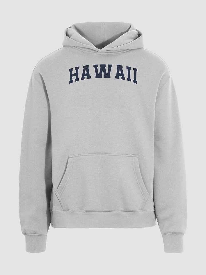Hawaii Vintage Stylish Unisex Premium Oversized Hoodie product image (1)