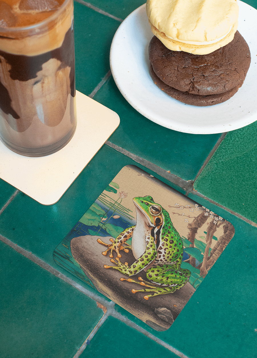 Frog Coaster product image (3)
