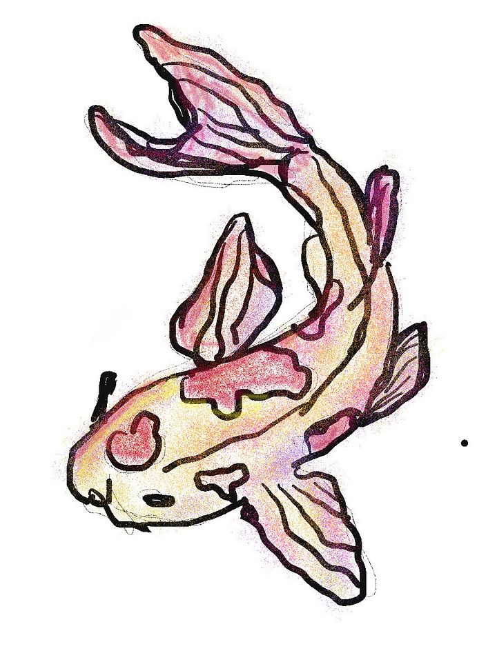 Koi product image (1)