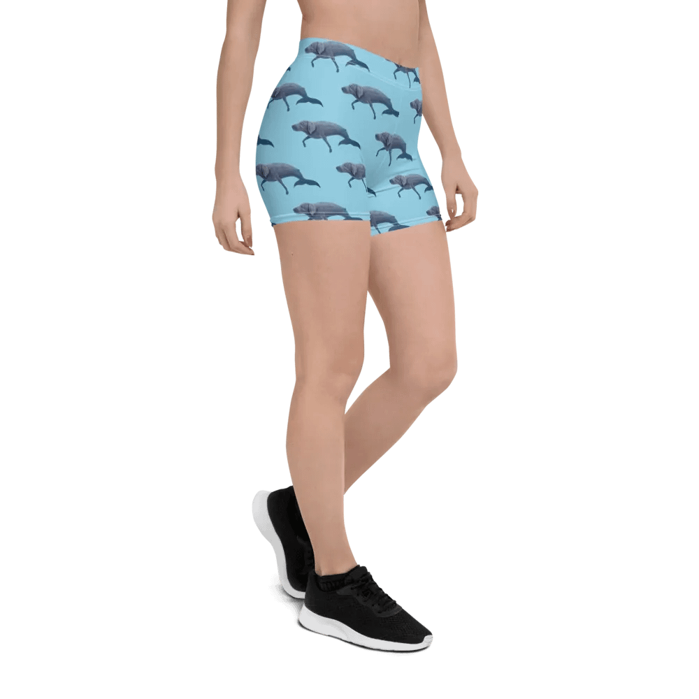 Whalemeriner Shorts product image (6)