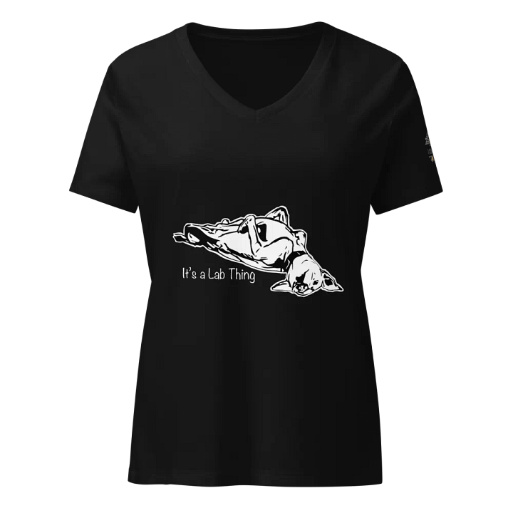 It’s a Lab Thing | Women’s V-Neck T-Shirt product image (1)