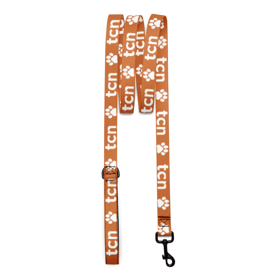 BEST FRIEND LEASH product image (2)