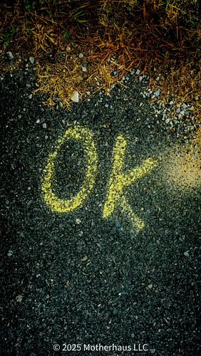 #walkeveryday #feelthemoment #feelthemo #30minutes