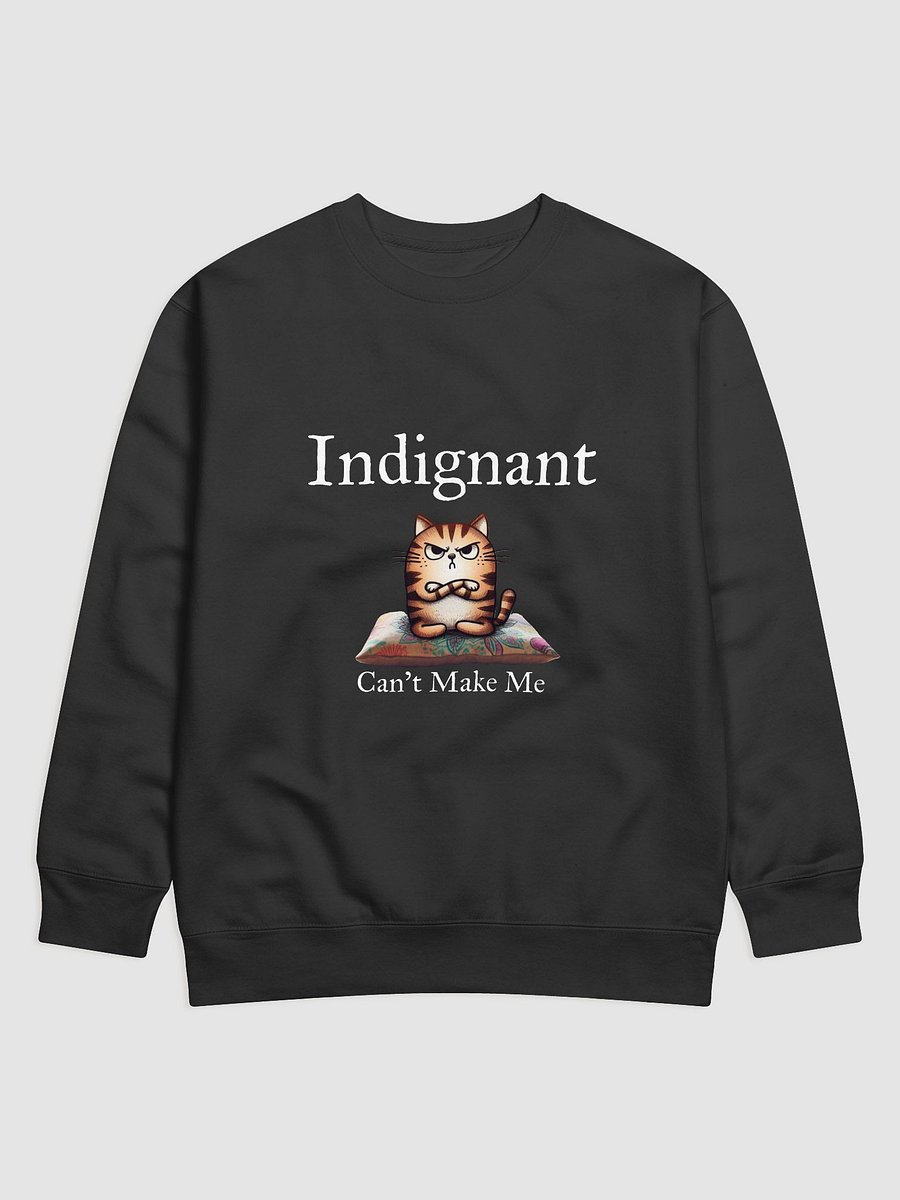 Indignant Sweatshirt product image (1)