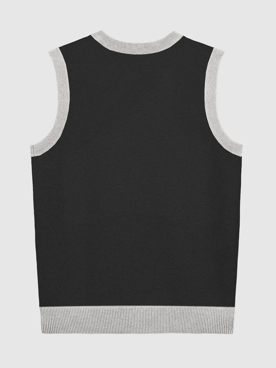 Stoic Youth Knitted V-Neck Vest product image (2)