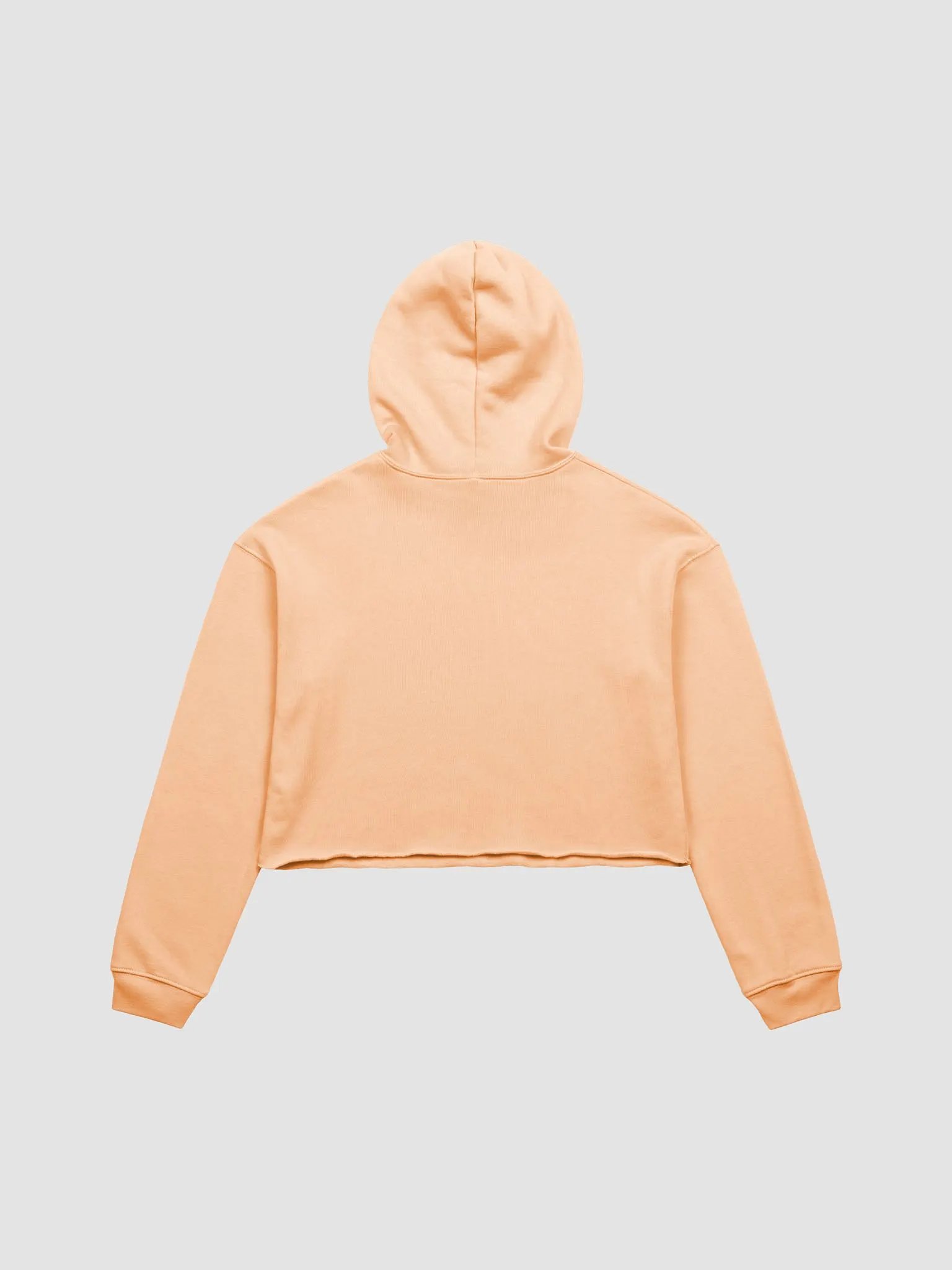 bugs that crawl fleece crop hoodie product image (3)